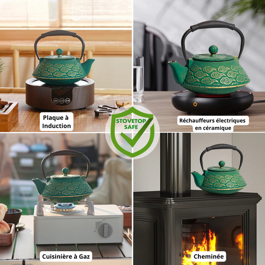 Théière Japonaise en fonte 900 ml - Ryuji (竜司)