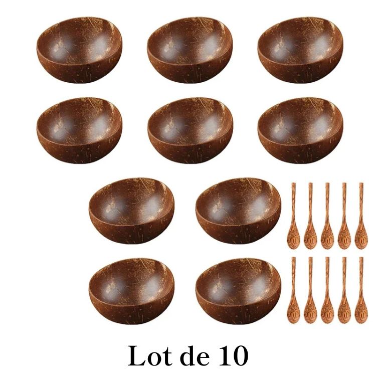 Bol à Ramen en noix de coco naturel - Mori (森)