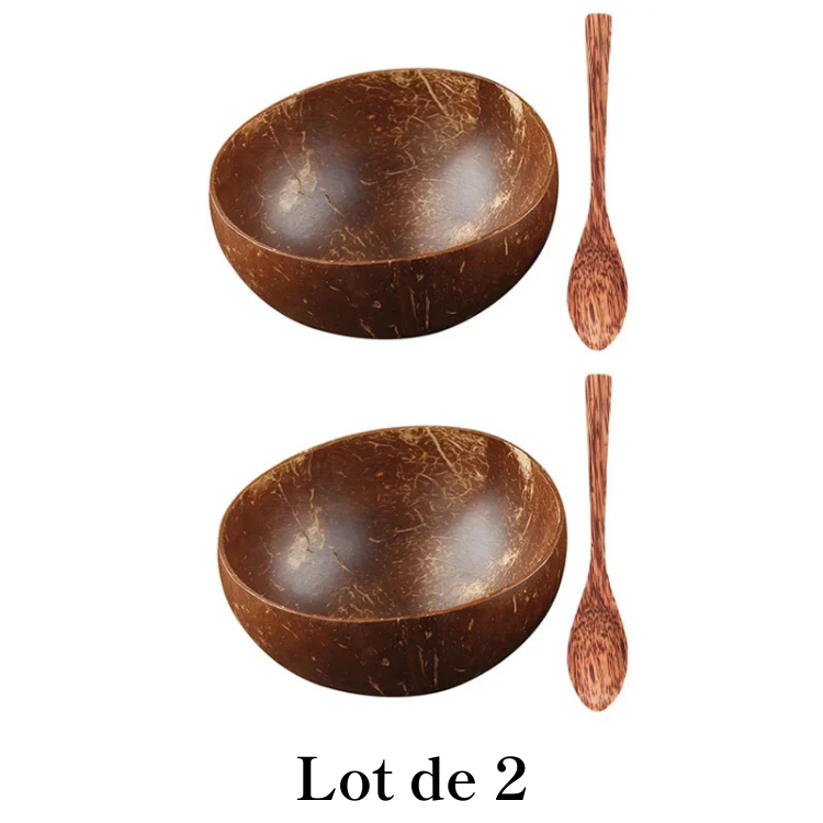 Bol à Ramen en noix de coco naturel - Mori (森)