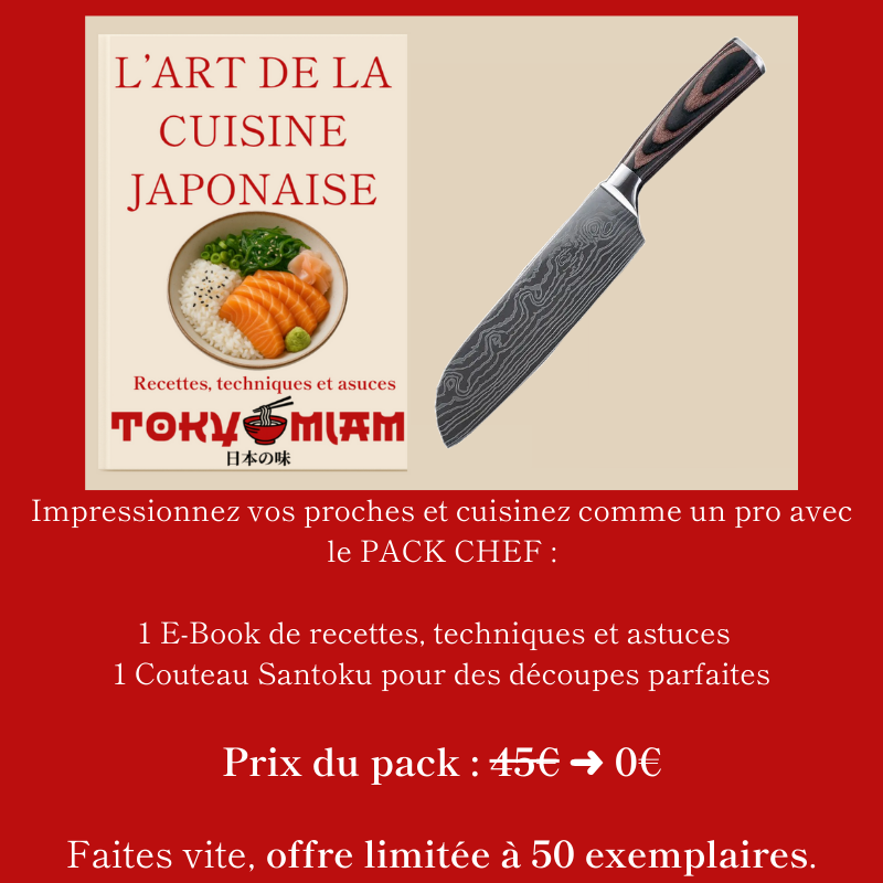 Pierre à aiguiser en roche métamorphique - Kage (影)