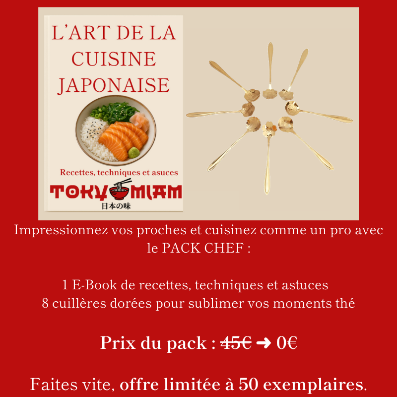 Théière Japonaise en fonte - Chikyu (地球)