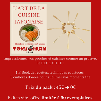 Théière Japonaise en fonte - Chikyu (地球)